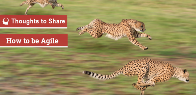 How to be Agile How to be Agile
