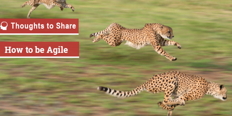 How to be Agile How to be Agile