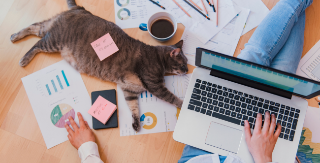 New ways of working (1)