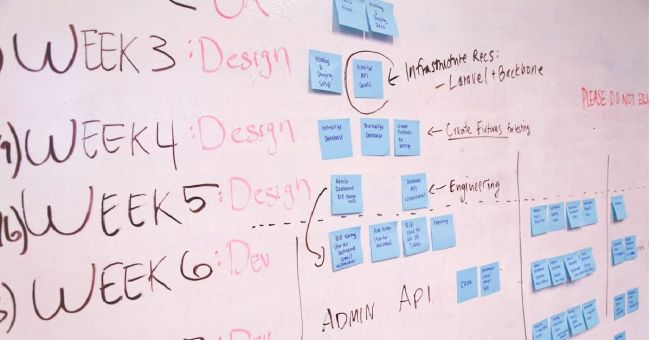 project management istituzionale opz 1 - Copia (2)