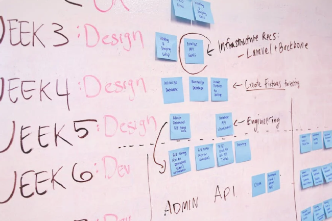 project management istituzionale opz 1 - Copia (2)