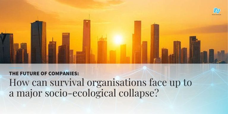 Survivalist companies NC